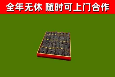深圳回收海参